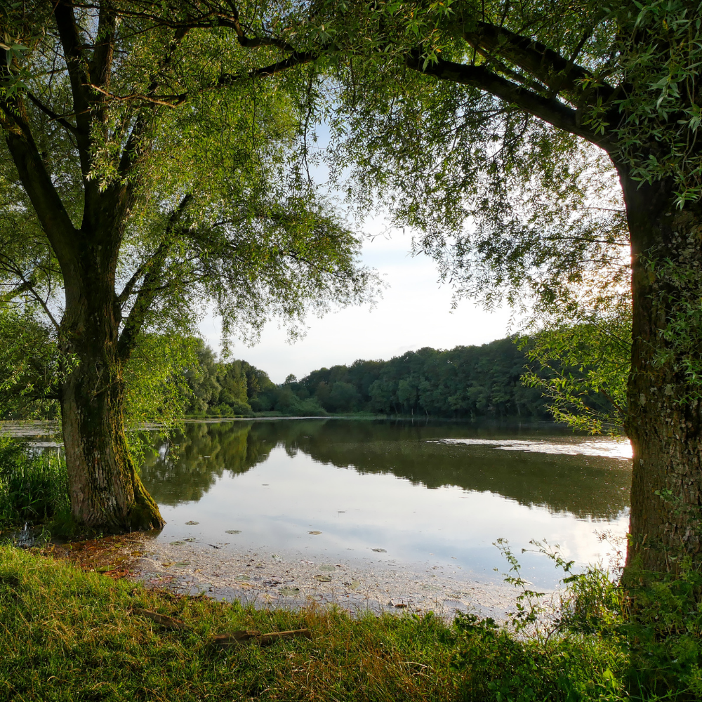 Ecophase LLC – Orlando, Florida Environmental Services