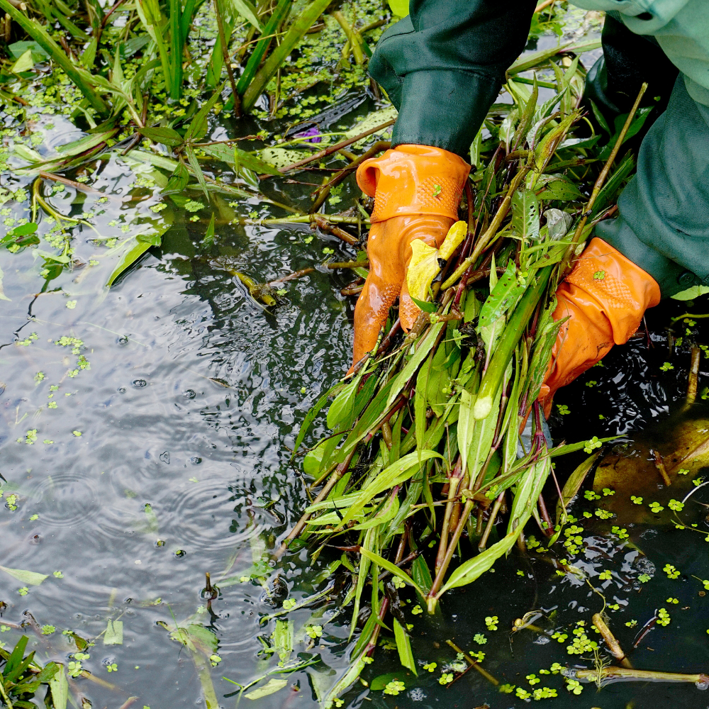 Florida Property & Site Restoration