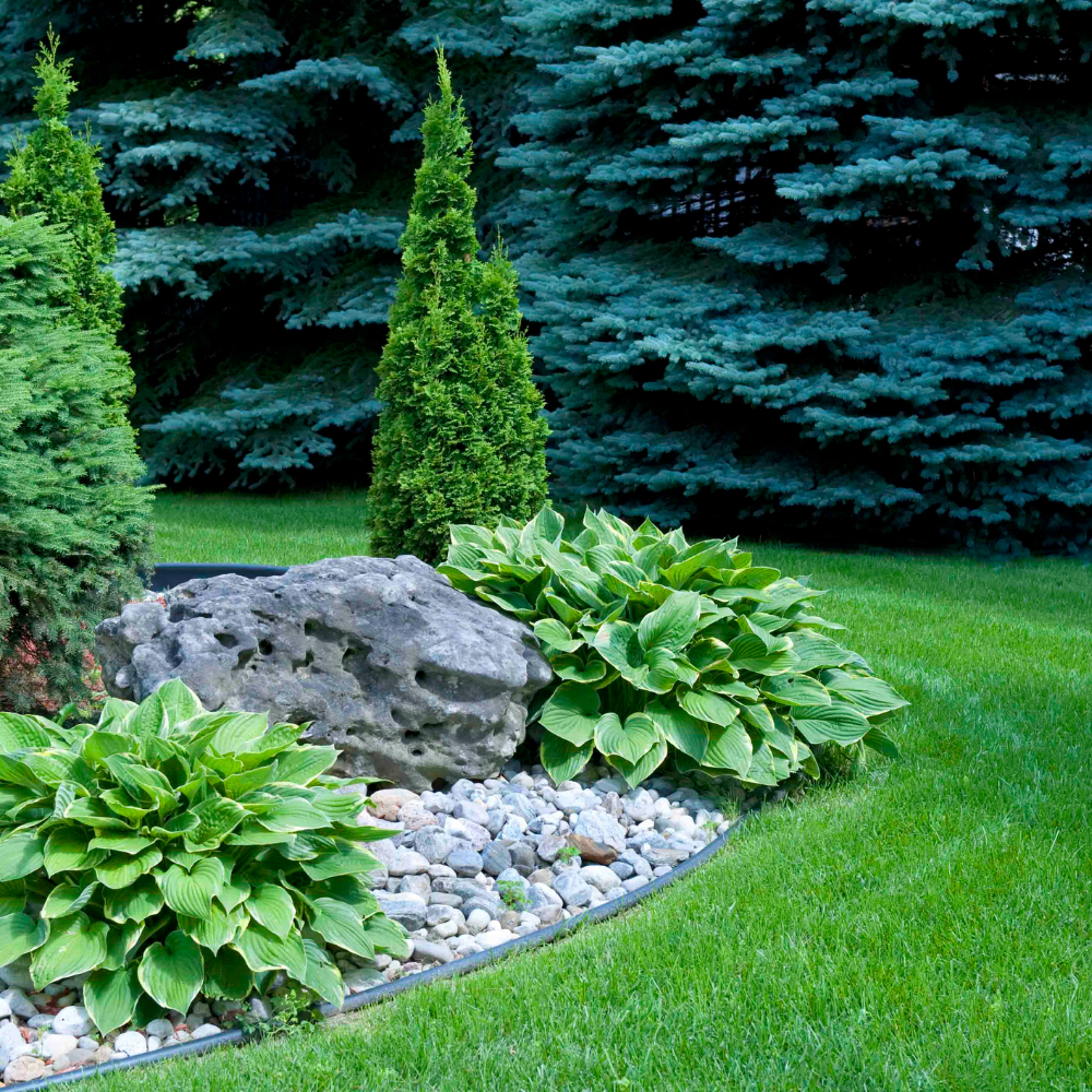 Professional Landscaping in Florida​